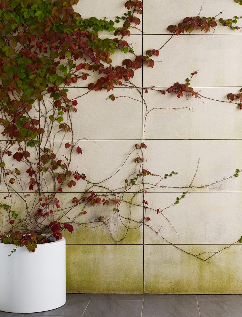 sydney garden landscape and design 2