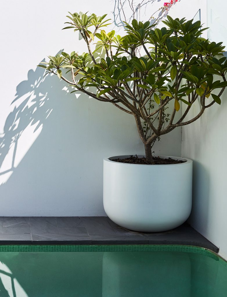 sydney garden landscape and design 5