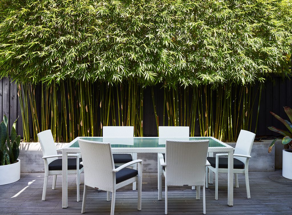 sydney garden landscape and design 6