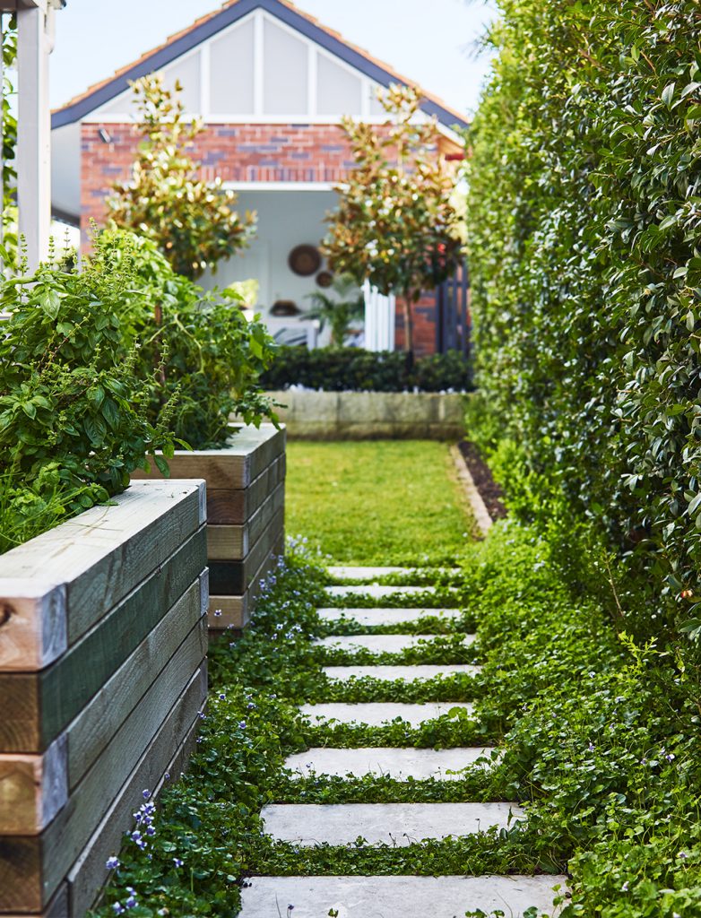 garden landscape in sydney 2