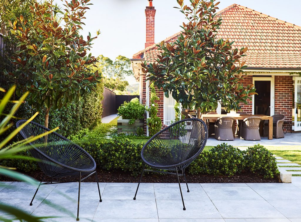 garden landscape in sydney 3