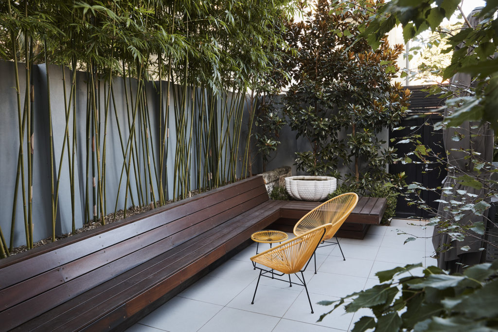 20190211 Think Outside 0035 Low