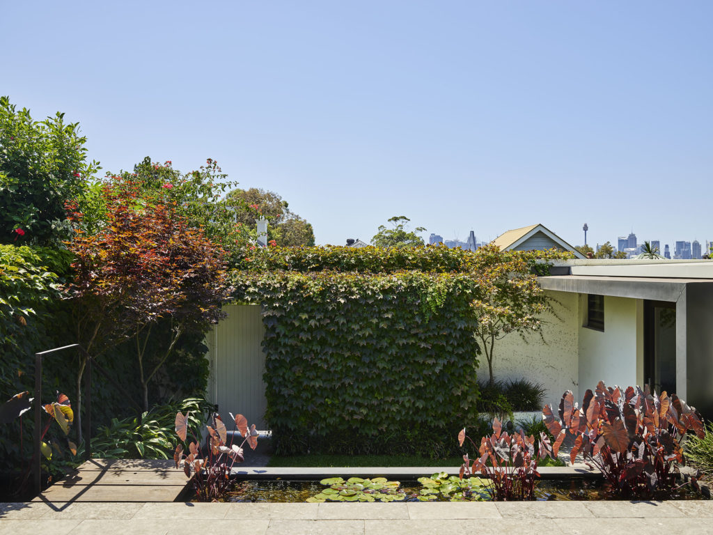 Ryan_St_180219_29168