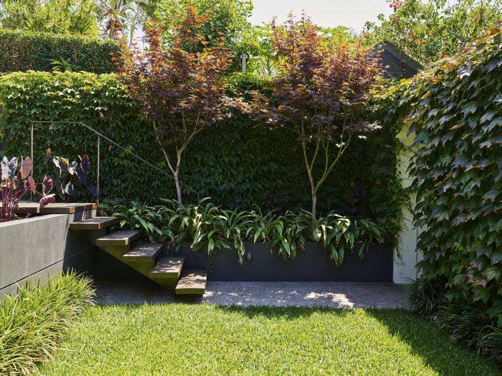 Ryan Street steps | Think Outside Gardens