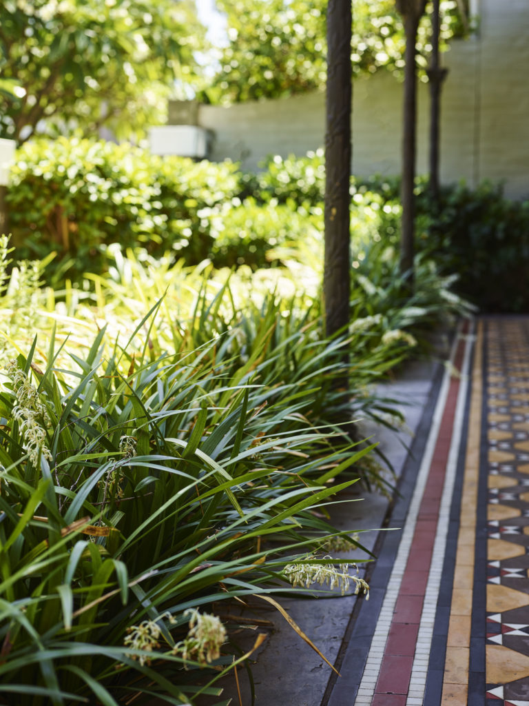 Ryan_St_180219_29213