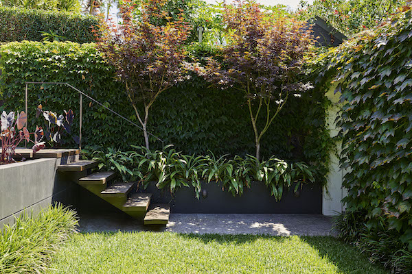 Think Outside Gardens - Ryan St - Backyard Stairs