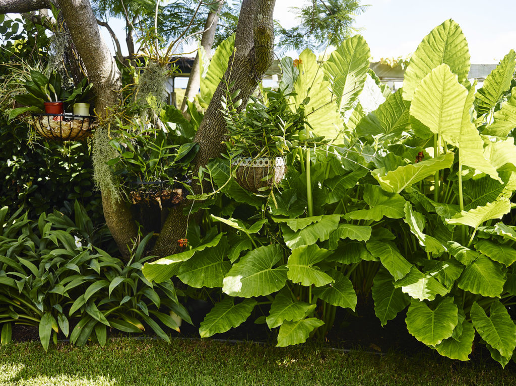 Think Outside Gardens - Green Garden