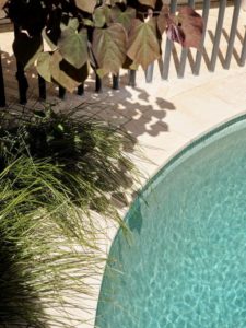 Darlinghurst Retreat Pool Garden Project