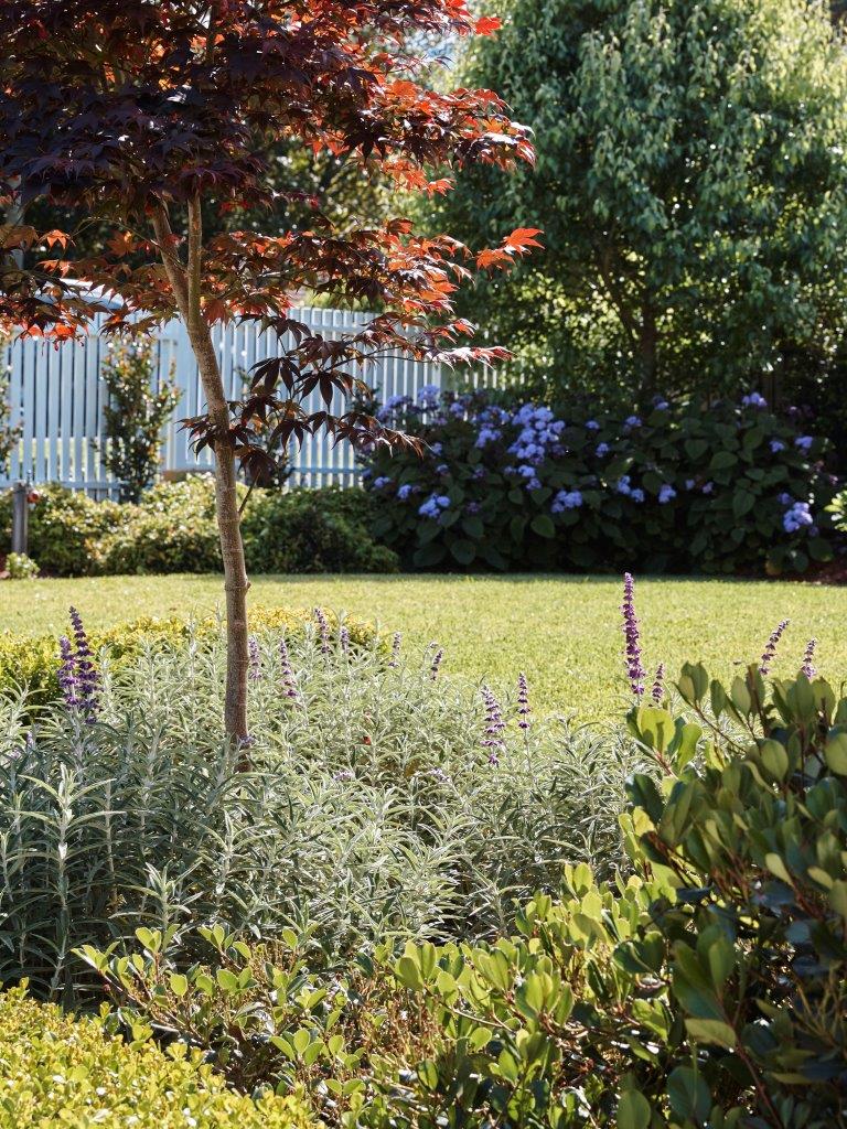 Roseville Family Garden combines lush greenery and structure with timeless Backyard Design Ideas in Sydney.