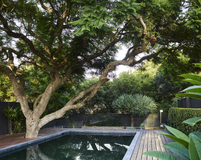 Gallery Image Contemporary pool with wood panelling 