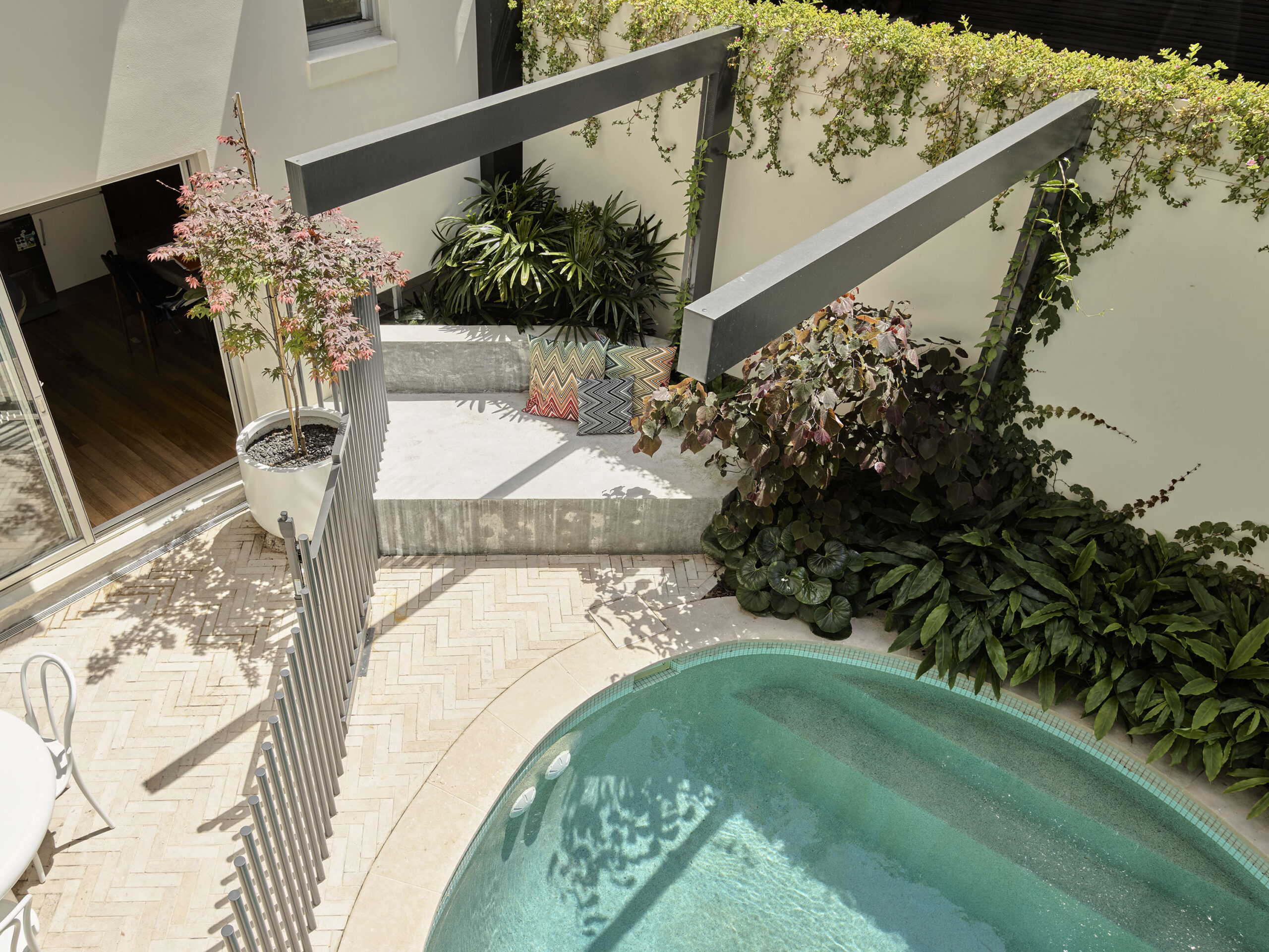 Gallery Image Compact designer plunge pool in a landscaped courtyard with modern fencing and greenery