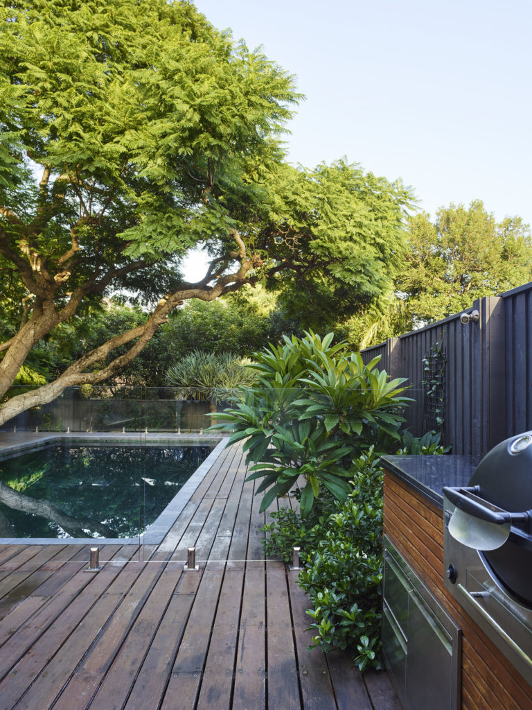 Landscape design in North Shore featuring a modern backyard with mature trees, timber decking, lush gardens, glass pool fencing and a contemporary swimming pool.