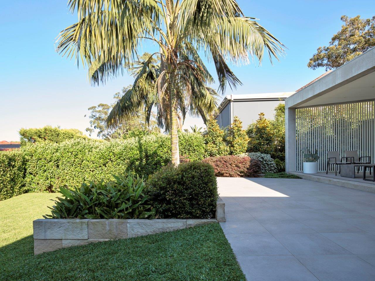 Landscape design Roseville featuring a family backyard with lush planting, lawn, palm tree and modern outdoor entertaining area.