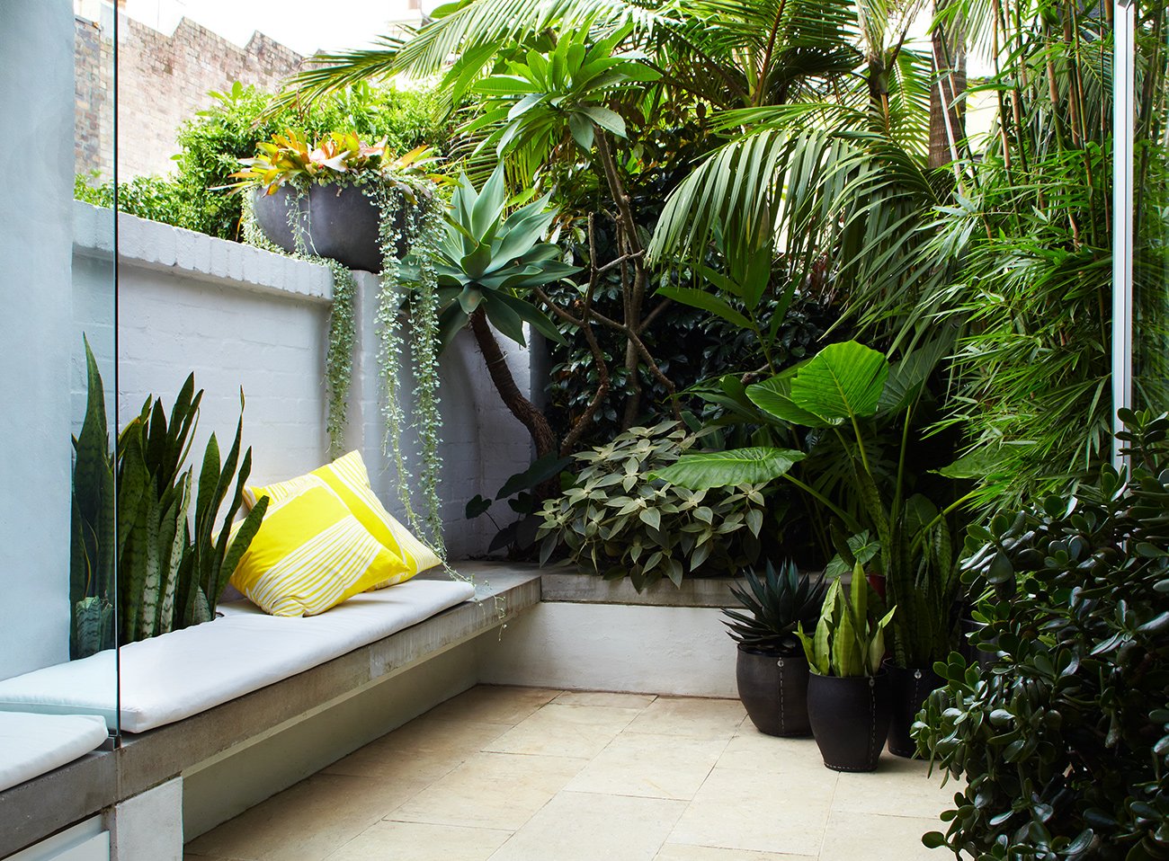 Landscape and garden design in Paddington with built in bench seating and layered tropical courtyard planting